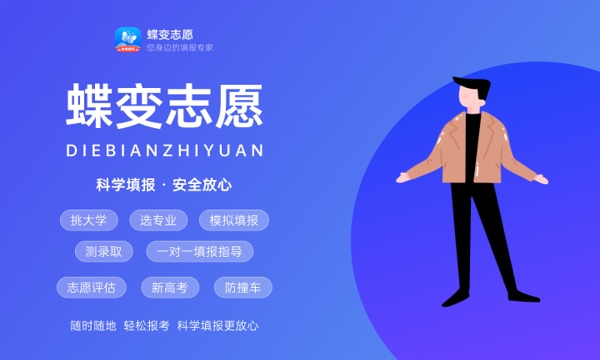 2024-2030年软件技术外包服务市场竞争力分析及投资战略预测研发报告