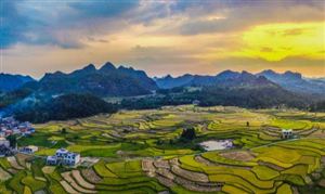 软件外包行业现状及发展前景分析2024(图3)