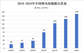 2024年中国软件外包服务行业发展现状及重点企业(图10)
