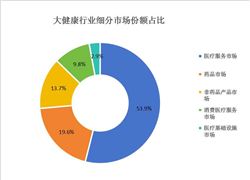 中国软件外包行业市场规模及发展格局分析(图8)