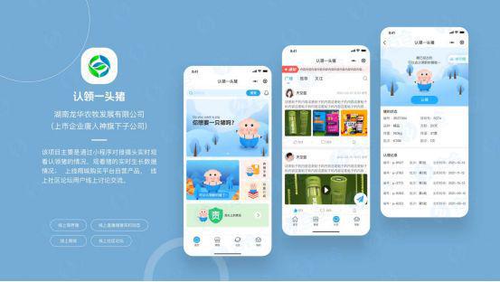 北京软件开发正规的软件外包开发公司的必备条件清单