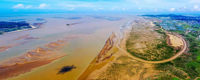 闽江河口湿地捧回国际大奖(图5)