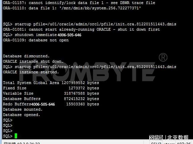 服务器数据恢复—raid5阵列+vxfs文件系统数据恢复案例(图4)