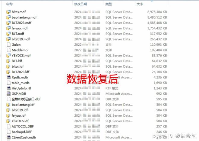 bixi勒索病毒数据恢复金蝶用友管家OA速达ERP等软件数据库恢复(图2)
