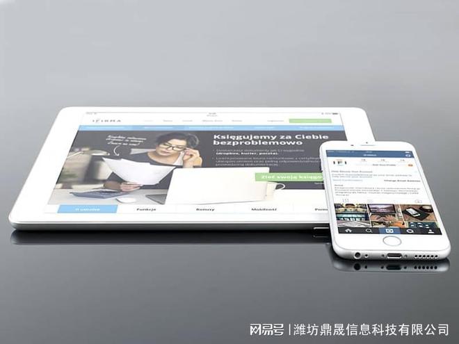 潍坊网站开发外包公司如何选择(图1)