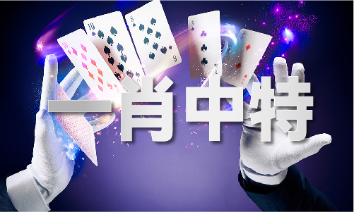 管家婆一期一准V1