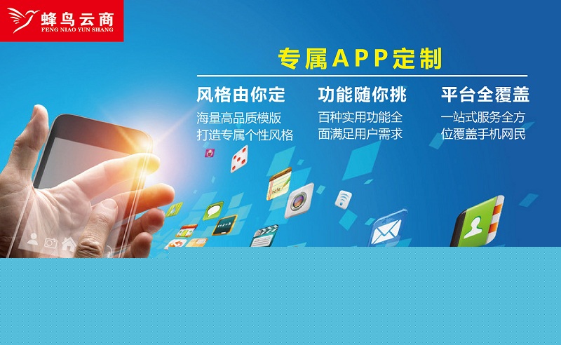 跨境电商SaaS平台外包开发