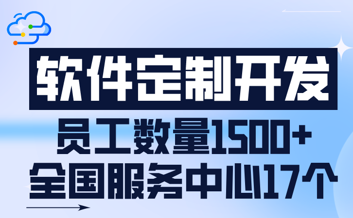 软件系统定制开发流程oa服务
