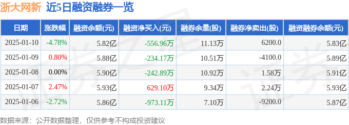 浙大网新（600797）1月10日主力资金净卖出234137万元(图2)