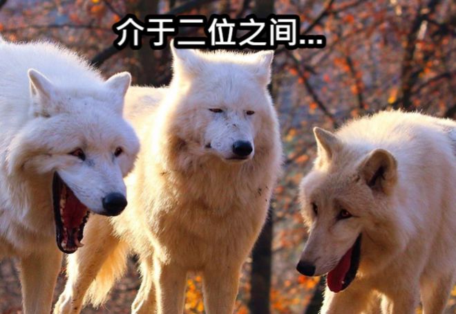 这位更是重量级低代码是否被高估？(图7)