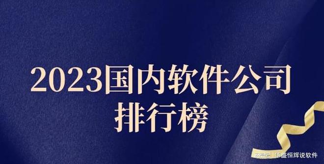 国内知名软件开发外包公司排行榜
