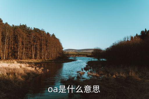 什么是oa（办公自动化）？(图1)