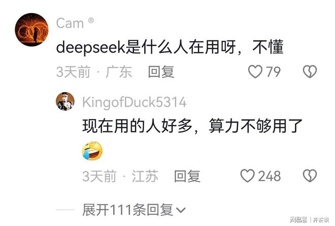 为什么很多广东省IP地址的网友质疑和嘲讽DeepSeek？(图2)
