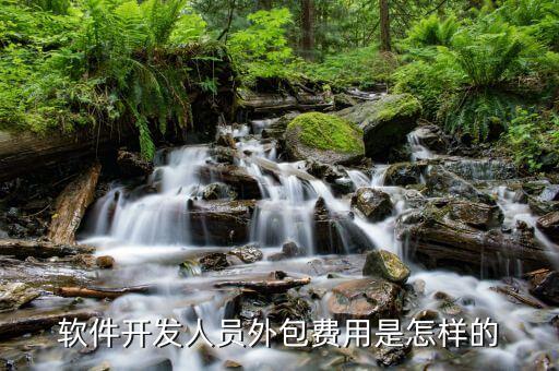 接外包和项目要多少钱合适