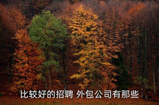 北京劳务外包效果好北京软件开发劳务外包(图2)