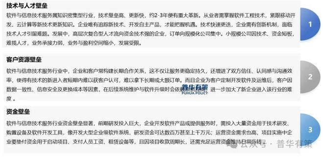 2025-2031年软件和信息技术服务行业细分市场调研及投资可行性分析报告(图4)