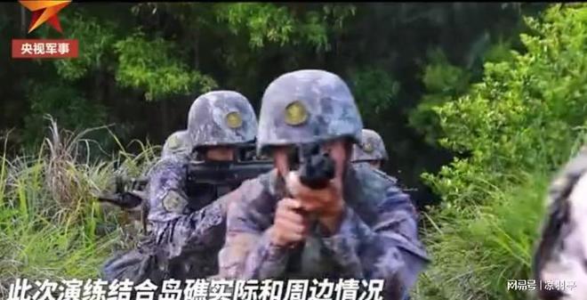 央视镜头下的南沙岛礁自然生态系统加速形成草丛竟有一人多高(图2)