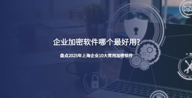 企业加密软件哪个最好用？盘点2025年上海企业10大常用加密软件