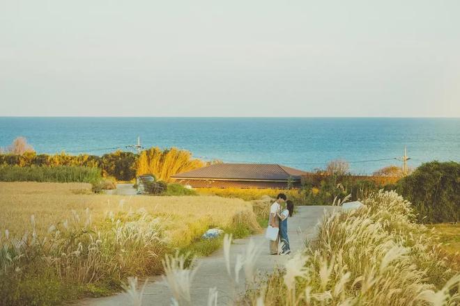 九月新剧抢先看！全智贤姜栋元李英爱山崎贤人能年玲奈集结(图21)