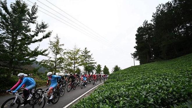 环贵州S5翠芽赛段｜185公里茶海对决 首届环贵州圆满落幕