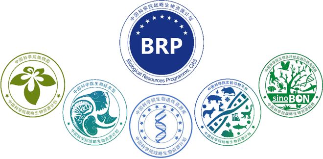 中国科学院战略生物资源计划2024年报OA图书上线引领共享新生态