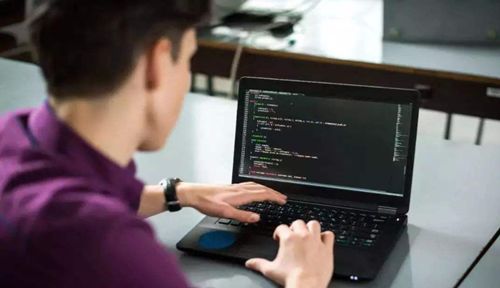 2025年数字化软件开发人力外包12品牌推荐：AI招聘软件开发、AI招聘测试、T 技术人力外包、一站式、业务流程(图1)