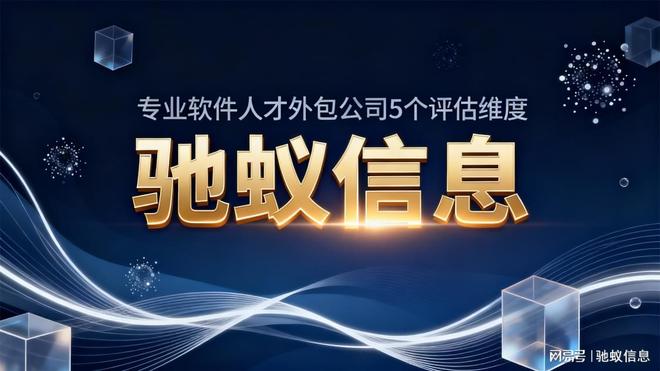 哪家软件人才外包公司更专业？这份评估报告给出了5个维度的答案