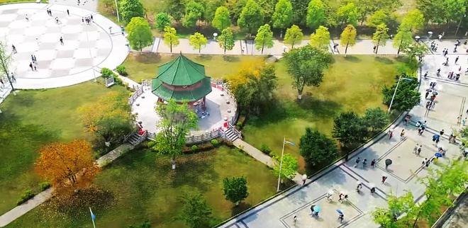 深度分析：成都理工大学王牌专业（参考2025年高考考生录取分数）